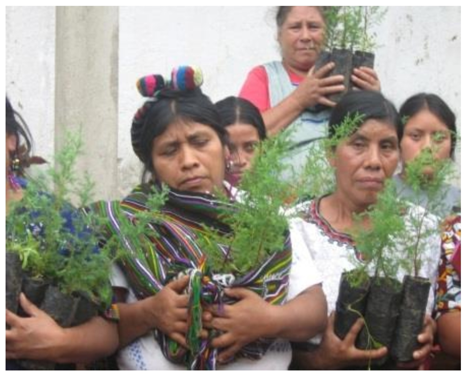 Mujeres en la reforestación Cuenca río Chel, 2012