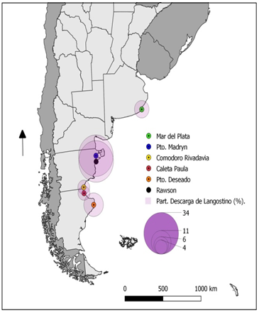 Principales puertos  argentinos que reciben descargas de langostino, año 2019.