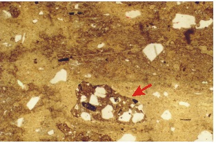 Sección delgada de la Ign. riolítica
    3 con un fragmento lítico de la Ign. Dacítica. Sin analizador, ancho de la
    foto, 6,7mm