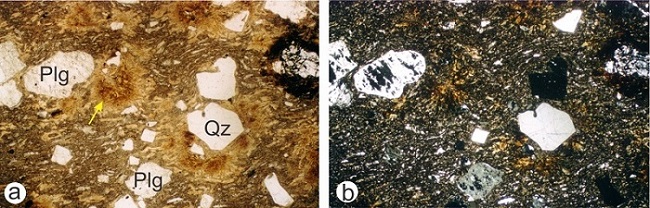 Sección
delgada de la Ignimbrita riolítica 4 de su zona basal vitrofírica. Se ven
glomérulos formados por la aglutinación de trizas vítreas (flecha). Sin
analizador. b. Ídem anterior. Los
cristaloclastos de plagioclasa están parcialmente lixiviados. Con analizador.
Ancho de las fotos 6,7mm