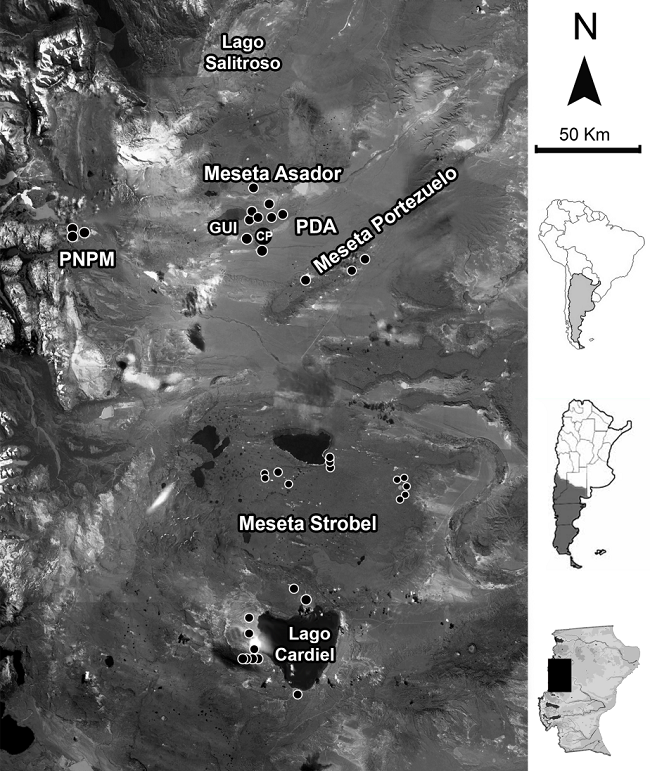  Sectores de la región bajo estudio y distribución de puntas
apedunculadas. Referencias: PNPM: Parque Nacional Perito Moreno; GUI: Guitarra;
CP: Cerro Pampa; PDA: Pampa del Asador