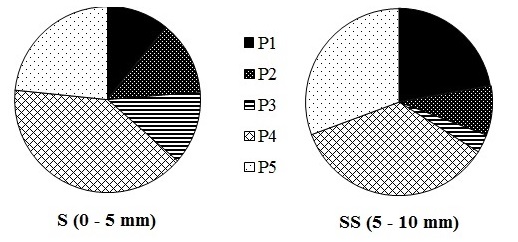 Distribución porcentual de las distintas
    fracciones de fósforo extraídas del sedimento superficial y sub-superficial
    en la planicie de marea de Puerto Rosales durante el invierno de 2011