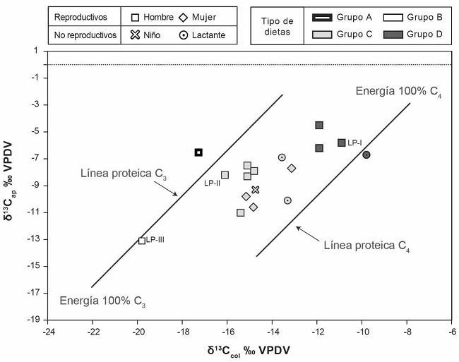 Relación entre δ13Ccol y δ13Cap
    de los tres individuos de Las Papas en función de una muestra
    regional proveniente de Fiambalá, Belén y Andalgalá (Catamarca). Extraído y
    adaptado de Ratto et al. 2019a