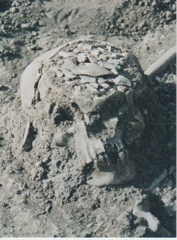 Sitio Matiyure. Detalle del cráneo,
conjunto nº 6