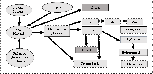 Final products possibilities in the soybean chain