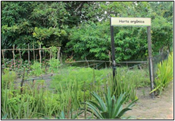 Horta orgânica do território da família Barreto.