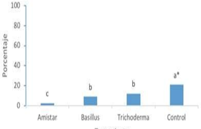 Efecto de bioplaguicidas sobre la incidencia de Mancha angular (Phaseoisariopsis griseola) en vainas de frijol común. *Letras distintas significan promedios distintos para Duncan a una P≤0.05