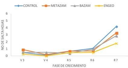 Comportamiento de salta hojas (Empoasca kraemeri) al
tratamiento con Metazam, Bazam (biológicos), al testigo
químico y testigo absoluto