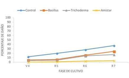 Efecto de bioplaguicidas sobre la incidencia de roya (Uromyces appendicu- latus) en plantas de frijol común.