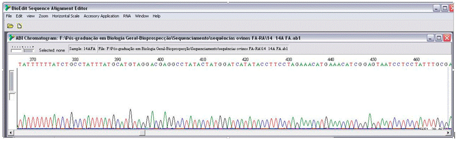 Cromatograma de sequência
importada no BioEdit exemplificando
os picos de cores diferentes para cada base (A,T,C e G).