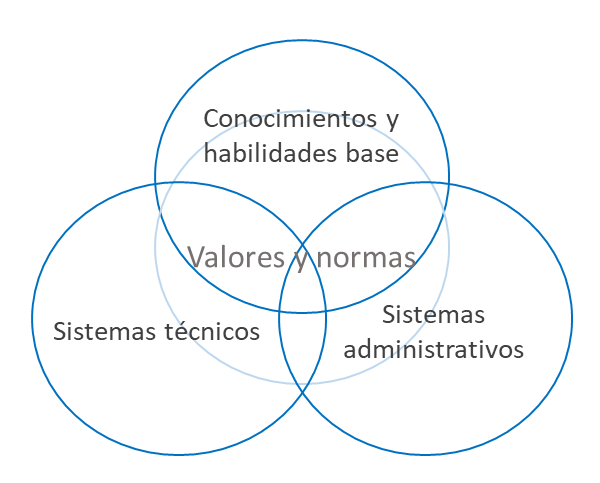 Figure 1. Dimensions of core capabilities
