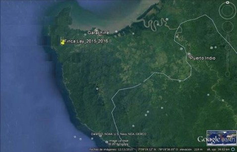 Área de Estudio, Finca
Lay en la provincia del Darién – República de Panamá



 