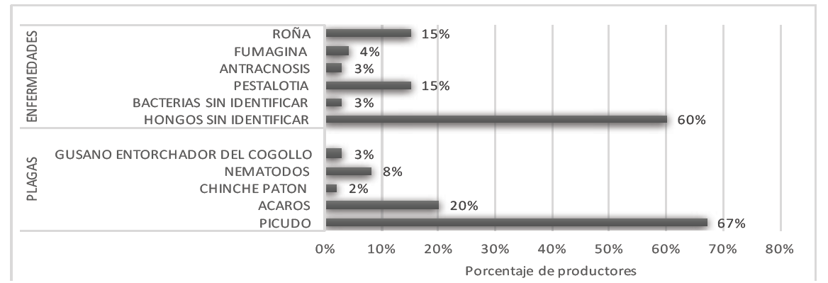 Principales plagas y enfermedades en el cultivo de maracuyá, según lo descrito por los agricultores de la región del Ariari, 2011. 