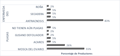Principales plagas y enfermedades en el cultivo de maracuyá, según lo descrito por los agricultores de la región del Ariari, 2011.