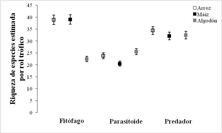 Riqueza de especies estimada por
rol trofico asociado a los tipos de bordes de cultivos en Montería, Córdoba-Colombia.