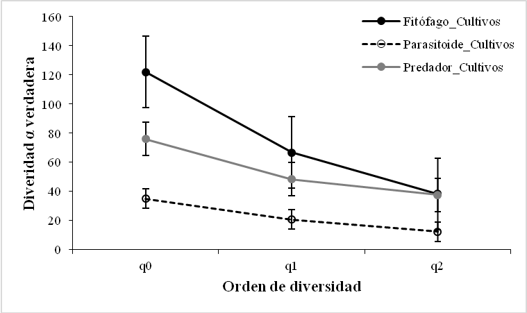 Perfiles de diversidad
alfa verdadera (a) para los artrópodos presentes y rol funcional (a) en bordes
de cultivo en Montería, Córdoba- Colombia.