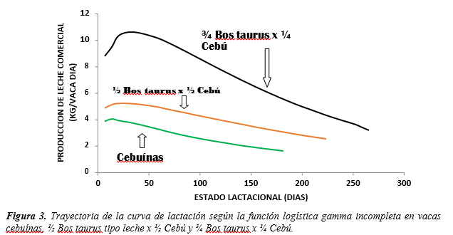 Trayectoria de la curva de lactación según la función logística gamma
incompleta en vacas cebuínas, ½ Bos taurus tipo leche x ½ Cebú y ¾ Bos taurus x ¼ Cebú.