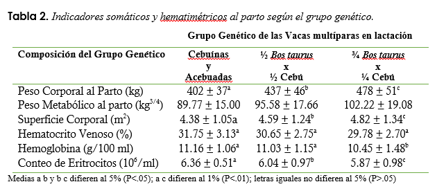 Indicadores somáticos y hematimétricos
al parto según el grupo genético.