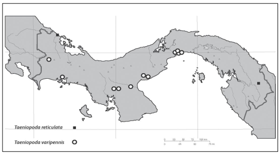 Distribución de T. varipennis y T. reticulata para Panamá.