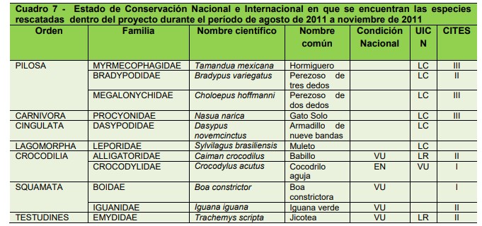 Estado
  de Conservación Nacional e Internacional en que se encuentran las especies  rescatadas dentro
  del proyecto durante el período de agosto de 2011 a noviembre de 2011
