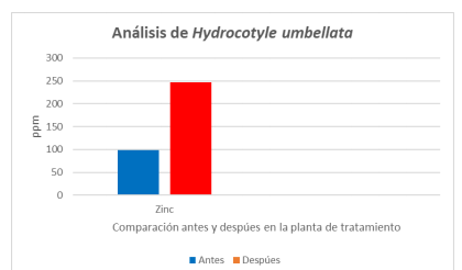Descripción gráfica
del análisis foliar de Hydrocotyle umbellata