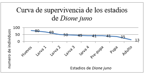 Curva de supervivencia
de los estadios inmaduros de Dione juno. Esta muestra la tabla de vida.