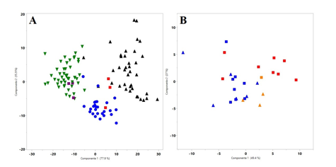  Principal Component
Analysis with Manhattan distance for all species in this study (A) (dark blue= P. lansbergii;
green= P. nasutum; purple= P. porrasi; black= P. ophryomegas; and red =
P. volcanicum) and (B) only
for P. lansbergii specimens from Panama (Females=triangle, Males=squares;
red=western, blue=central, orange=eastern Panama)