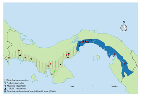 Distribution of P. lansbergii in Panama.