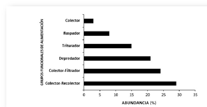 Abundancia de los grupos
funcionales de alimentación en el tramo estudiado del río Cardenillo, Veraguas 



 