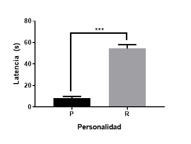  Media (± EE) de tasa
ventilatoria entre individuos proactivos (P) y reactivos (R). ***p>0.001.