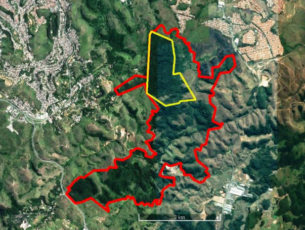  Limites recategorizados em vermelho (REVIS), em comparação com a
UC da ARIE Floresta da Cicuta em amarelo.