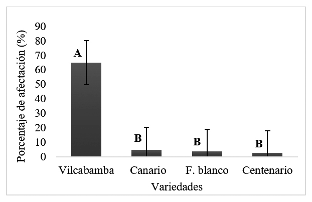 Porcentaje de afectación de la virosis presente en el cultivo de fréjol Phaseolus vulgaris L., obtenido mediante la prueba 

de Tukey (p
= <0.05)