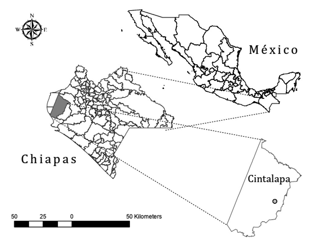 Ubicación geográfica del área de estudio.