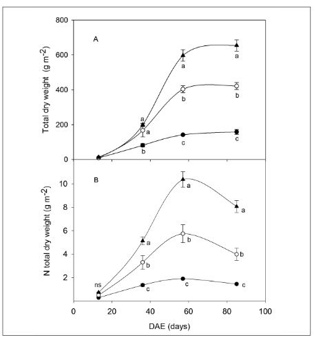  Pattern of total dry weight accumulation (A) and accumulated nitrogen in total dry weight (B) during days after emergence (DAE) in the different nitrogen fertilization treatments: 0-N (●) 133-N (○) and 400-N (▲). Different letters indicate significant differences between treatments per sampling period, ns (no significant differences) (p<0.05).