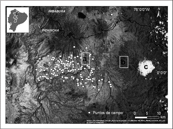 Imagen satelital TerraColor  de  la  zona piloto del  levantamiento de  información
disponible en ArcGIS Earth
1.5. (a) Patrón espacial de las cangahuas superficiales en zonas secas de los piedemontes de los volcanes de la Sierra.
(b) Zonas húmedas con poca o nula presencia de cangahuas. (c) Cumbre del
volcán Cayambe.