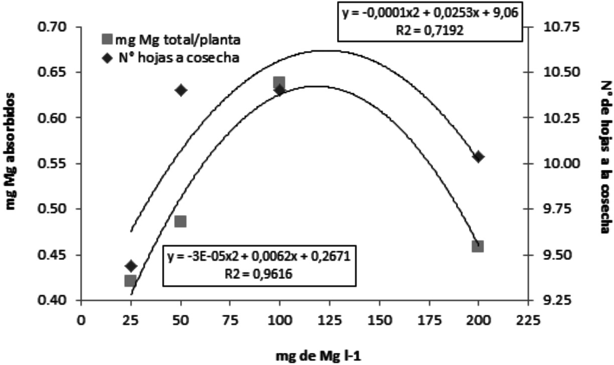 Relación entre el número de hojas a la
cosecha del experimento, con la cantidad total de Mg absorbido por la planta,
según la concentración de Mg de la solución nutritiva.