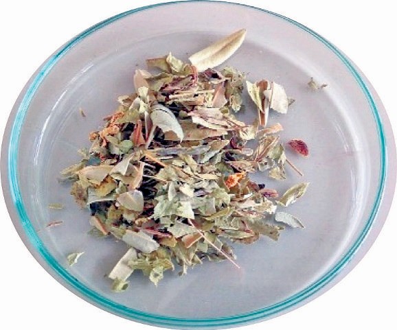  b) hojas de té verde (Thea sinensis L.) comercial secas