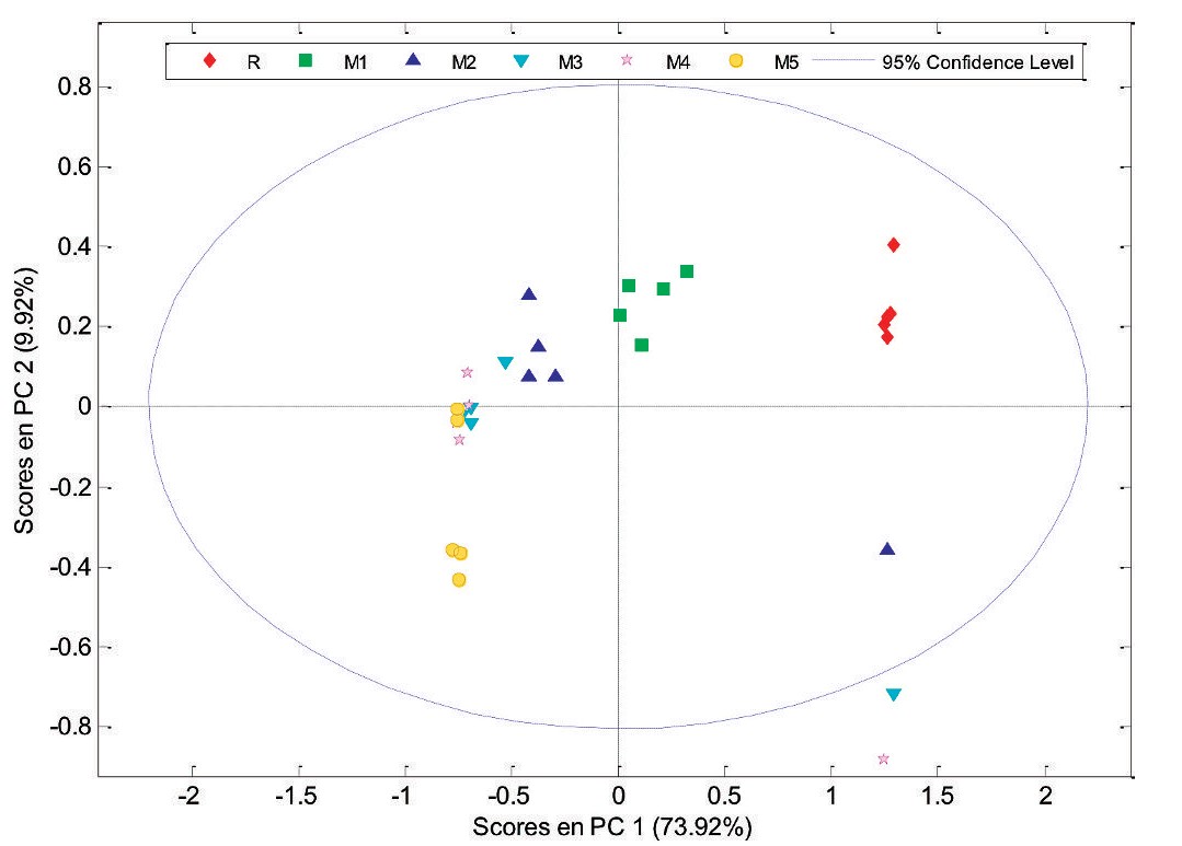 Gráfico de score PC1 vs PC2 derivado de los espectros de 1H-RMN 600 MHz de los extractos de Silybum marianum.