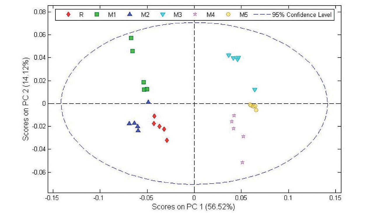 Gráfico de scores PC1 vs PC2 derivado de los espectros de 1H-RMN 600 MHz de los extractos de H. perforatum.