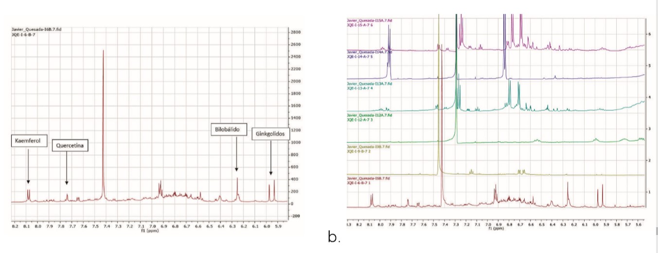  a) Espectro 1H-RMN del extracto de G. biloba marca de USA -una muestra-(CDCl -CD OD, 600 MHz). 

3 3 

b) Espectros representativos de las muestras de ginkgo biloba de los productos locales, (CDCl3-CD3OD, 600 MHz), el espectro del producto de USA corresponde al espectro 1 (parte de abajo).
