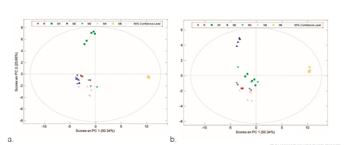  a) Gráfico de score PC1 vs PC2 derivado de los espectros de 1H-RMN 600 MHz de los extractos de Echinacea. b) Gráfico de score PC1 vs PC3 derivado de los espectros de 1H-RMN 600 MHz de los extractos  de Echinacea. En ambos gráficos se pobservan 5 puntos de cada color, lo que significa que de cada marca se realizaron 5 réplicas.