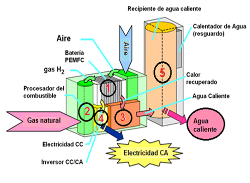 Componentes de un CHP basado en una celda de combustible tipo PEMFC (donde
PEMFC es la sigla en idioma inglés de Polymer Electrolyte Membrane Fuel Cell)