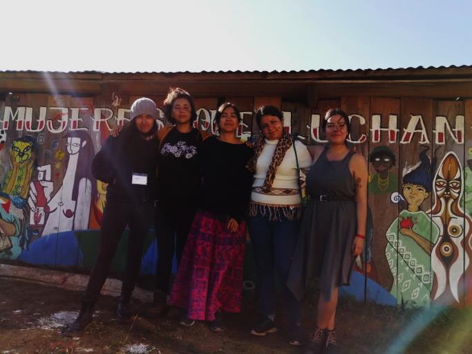 Mulheres zapatistas: memórias e trajetórias do II encontro internacional de  mulheres que lutam
