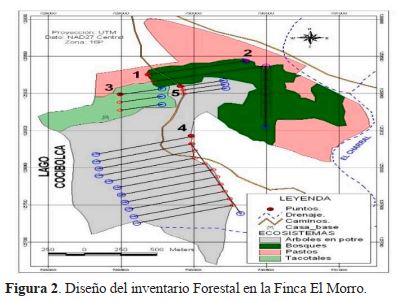 Diseño de inventario forestal en la Finca El Morro