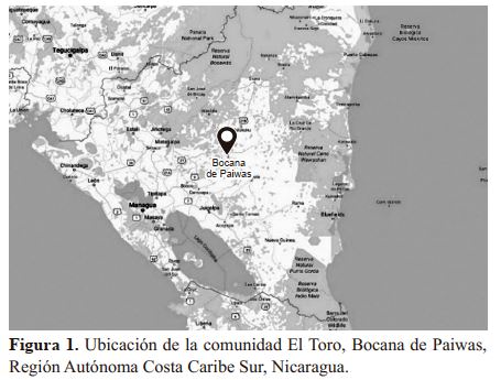 Ubicación de la comunidad El Toro, Bocana de Paiwas, Región Autónoma Costa Caribe Sur, Nicaragua