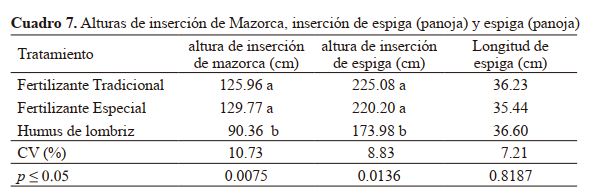 Alturas de inserción de Mazorca, inserción de espiga (panoja) y espiga (panoja)