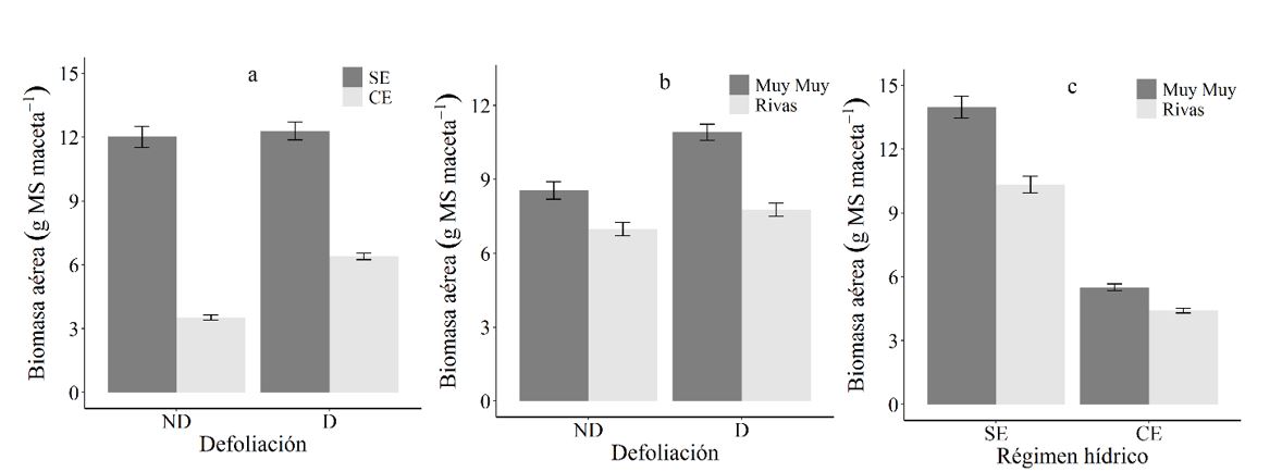 Biomasa aérea
(g MS maceta-1) de C.
mucunoides en función de la
defoliación y el régimen hídrico (a), en función de la defoliación y la procedencia
(b) y en función del régimen hídrico y la procedencia (c). 