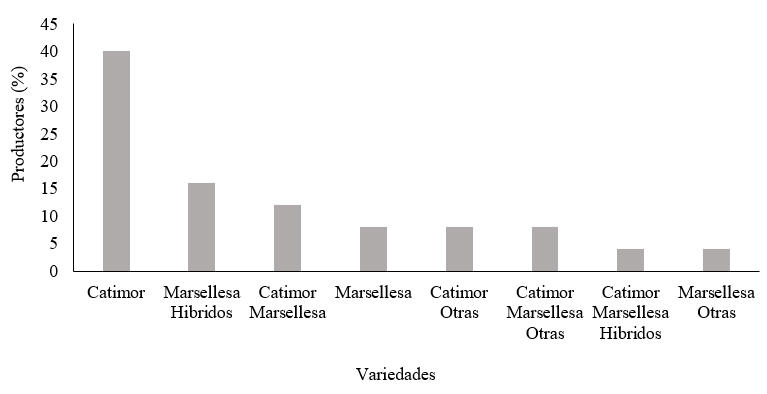 Productores y variedades más utilizadas en Matagalpa,
San Ramón y Tuma- La Dalia.