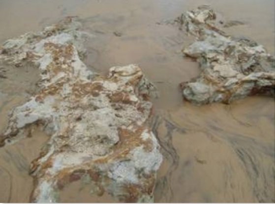 Exemplar da formação tabuleiro aflorada no estirâncio praial