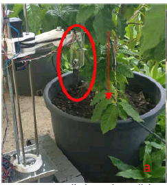 Procedimiento de medición de la humedad en la tierra
de una planta. Se señala el sensor de humedad y el movimiento de descenso del
brazo mecánico.